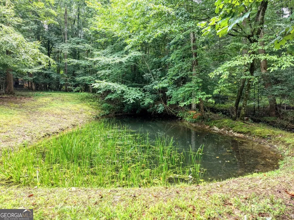 4348 White Oak DR Hiawassee, GA 30546