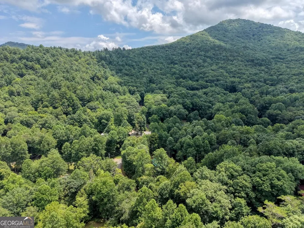 4348 White Oak DR Hiawassee, GA 30546