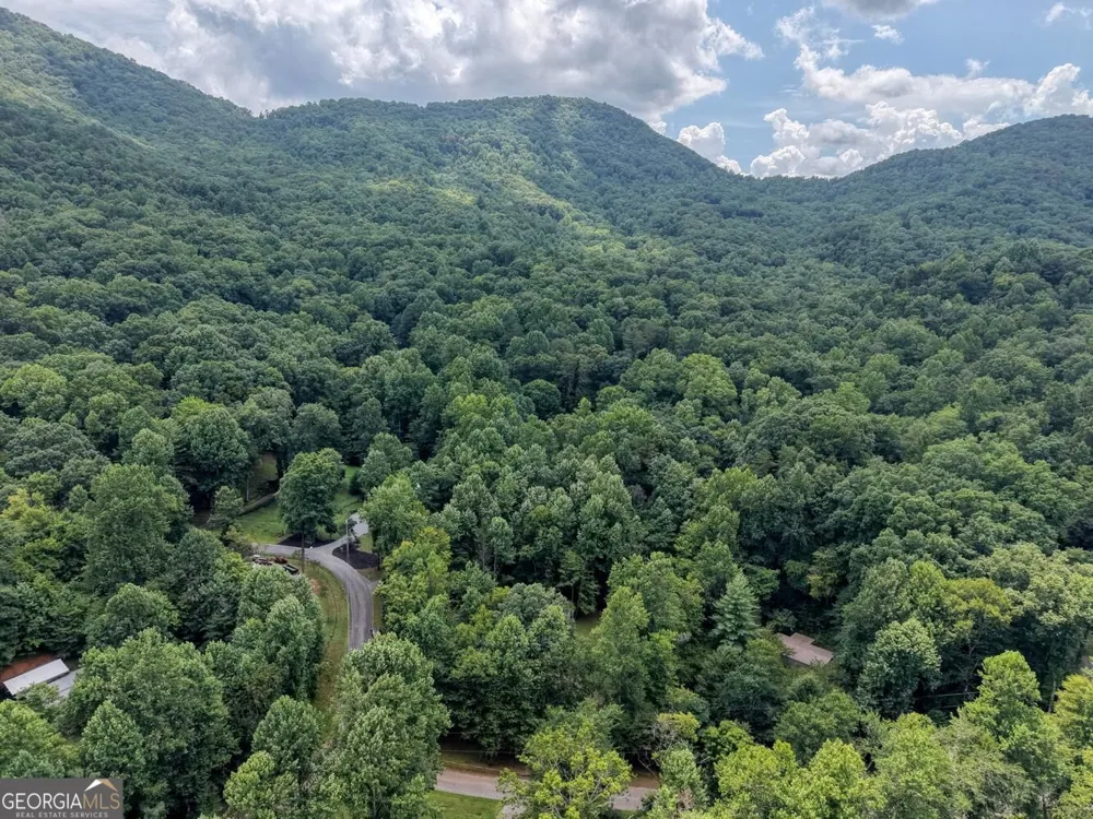 4348 White Oak DR Hiawassee, GA 30546