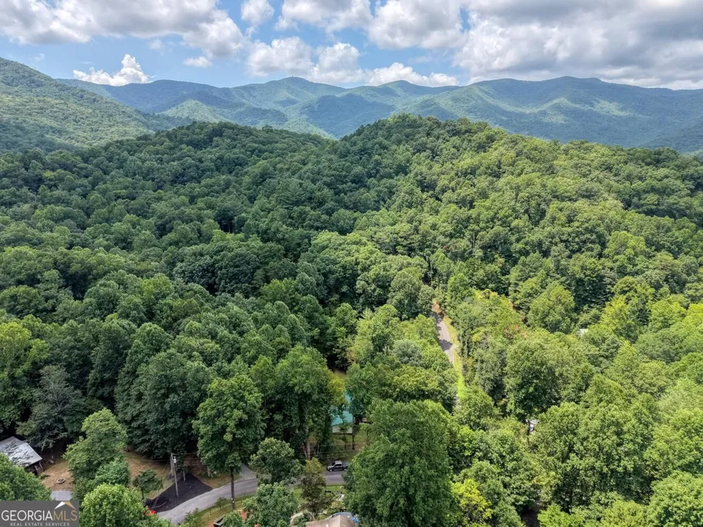 4348 White Oak DR Hiawassee, GA 30546
