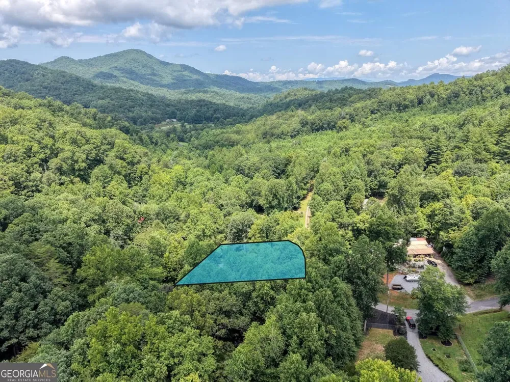4348 White Oak DR Hiawassee, GA 30546