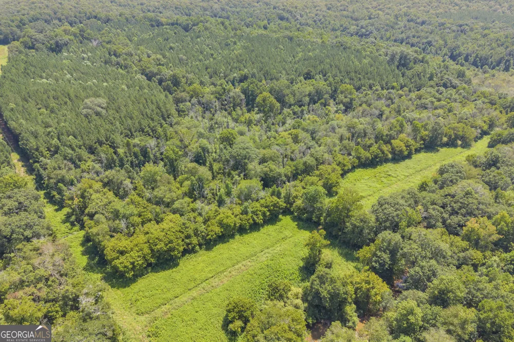 0 Samples Bottom RD Homer, GA 30547