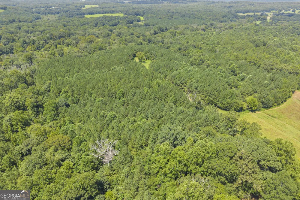 0 Samples Bottom RD Homer, GA 30547