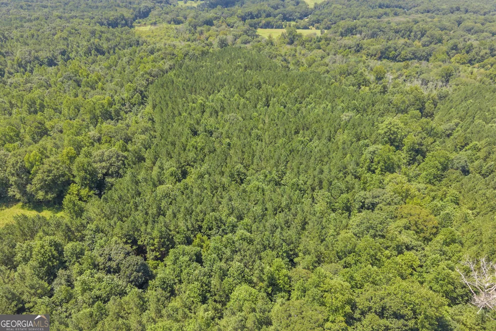 0 Samples Bottom RD Homer, GA 30547
