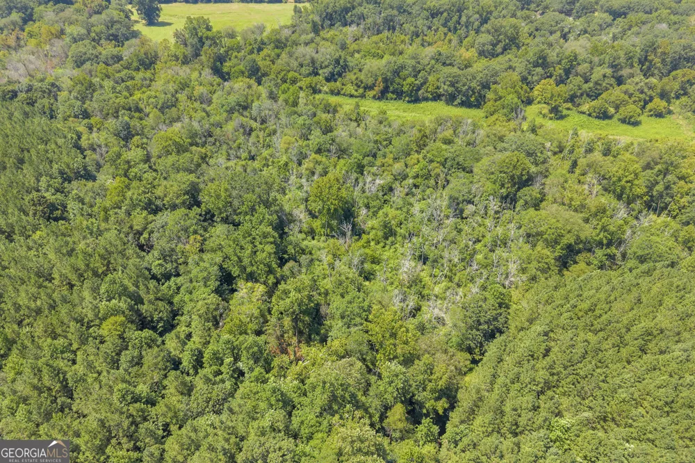 0 Samples Bottom RD Homer, GA 30547