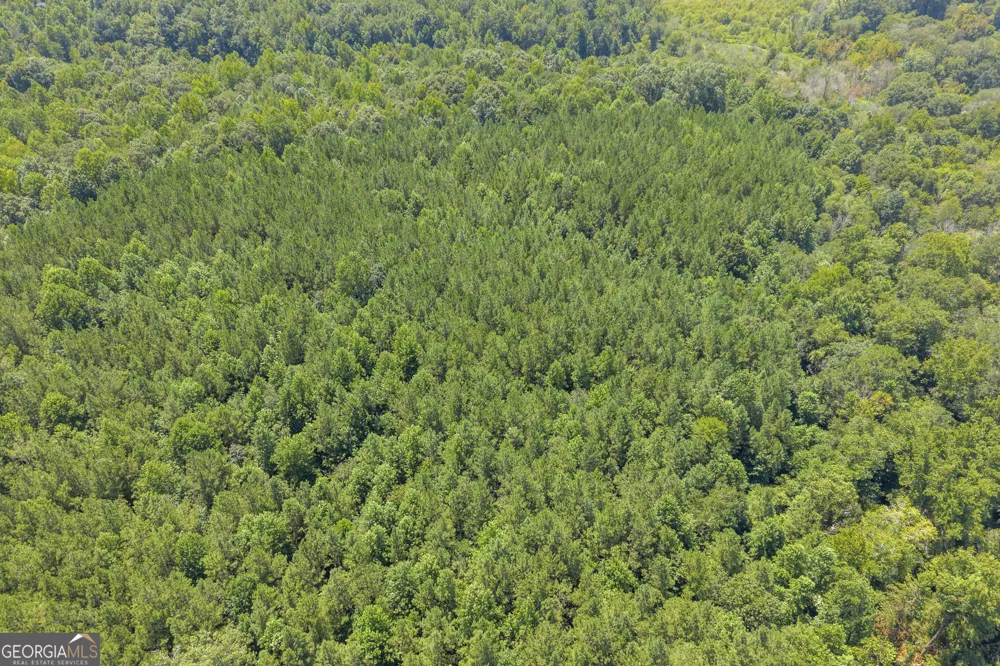 0 Samples Bottom RD Homer, GA 30547