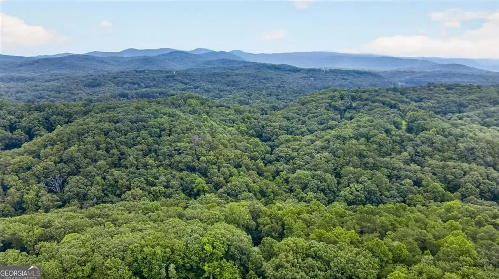 654 Oaklands DR Talking Rock, GA 30175