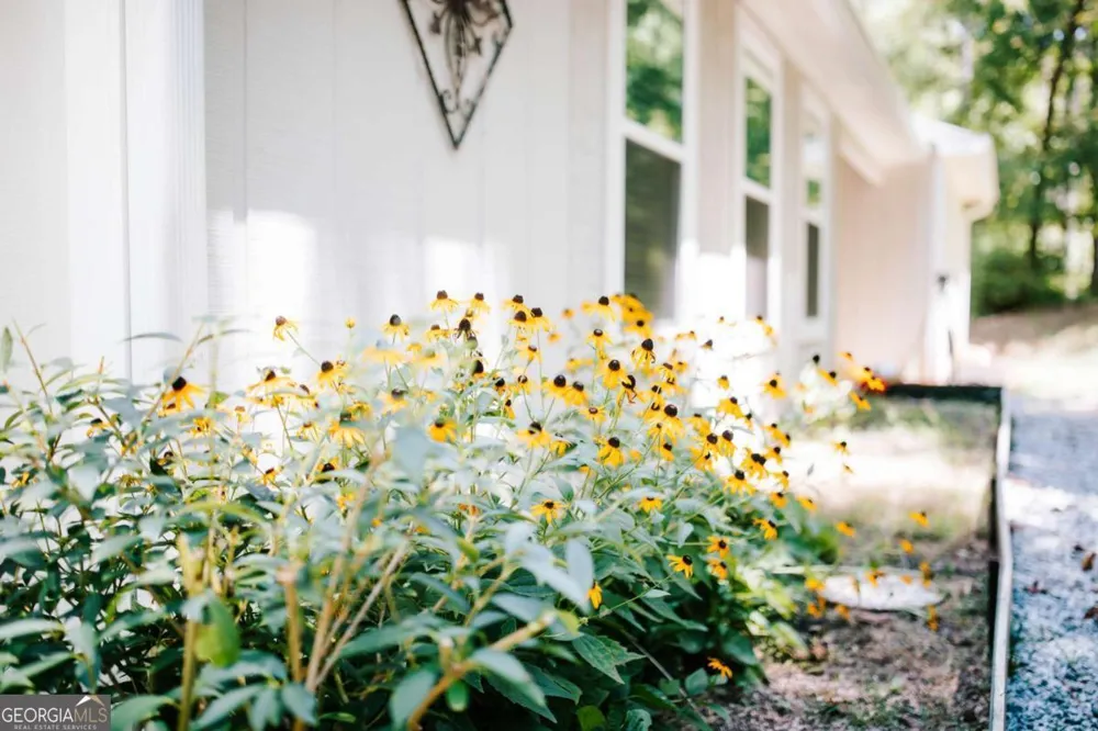 72 Terry Dee LN Colbert, GA 30628