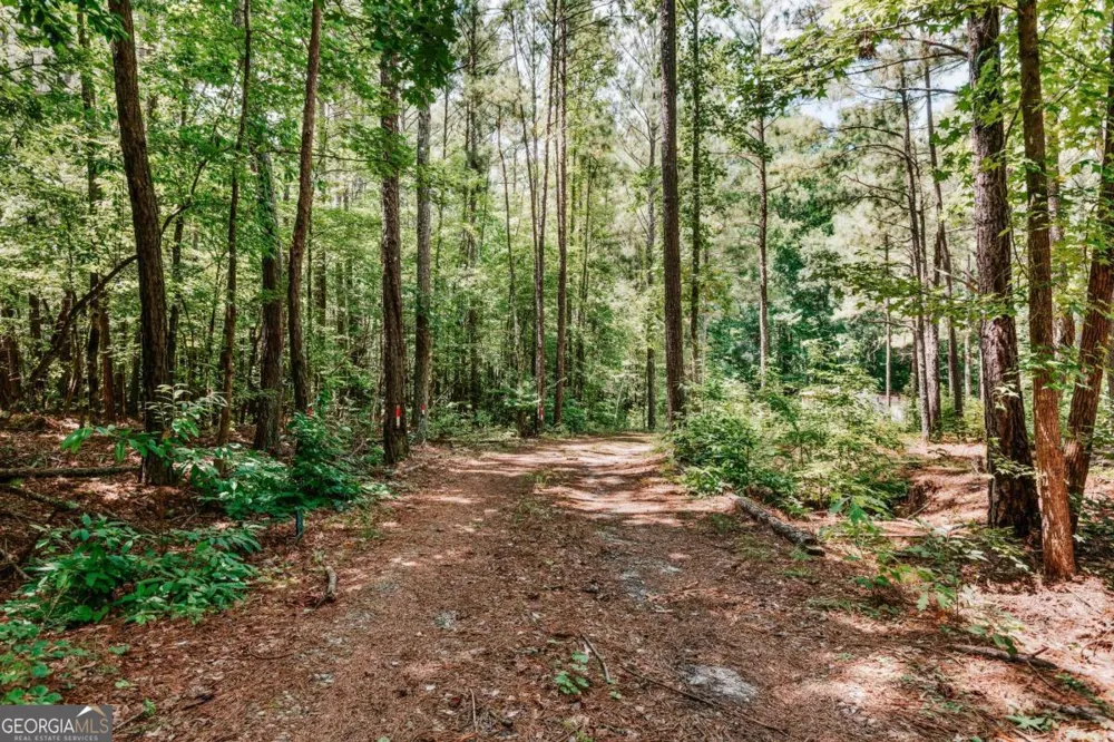 72 Terry Dee LN Colbert, GA 30628