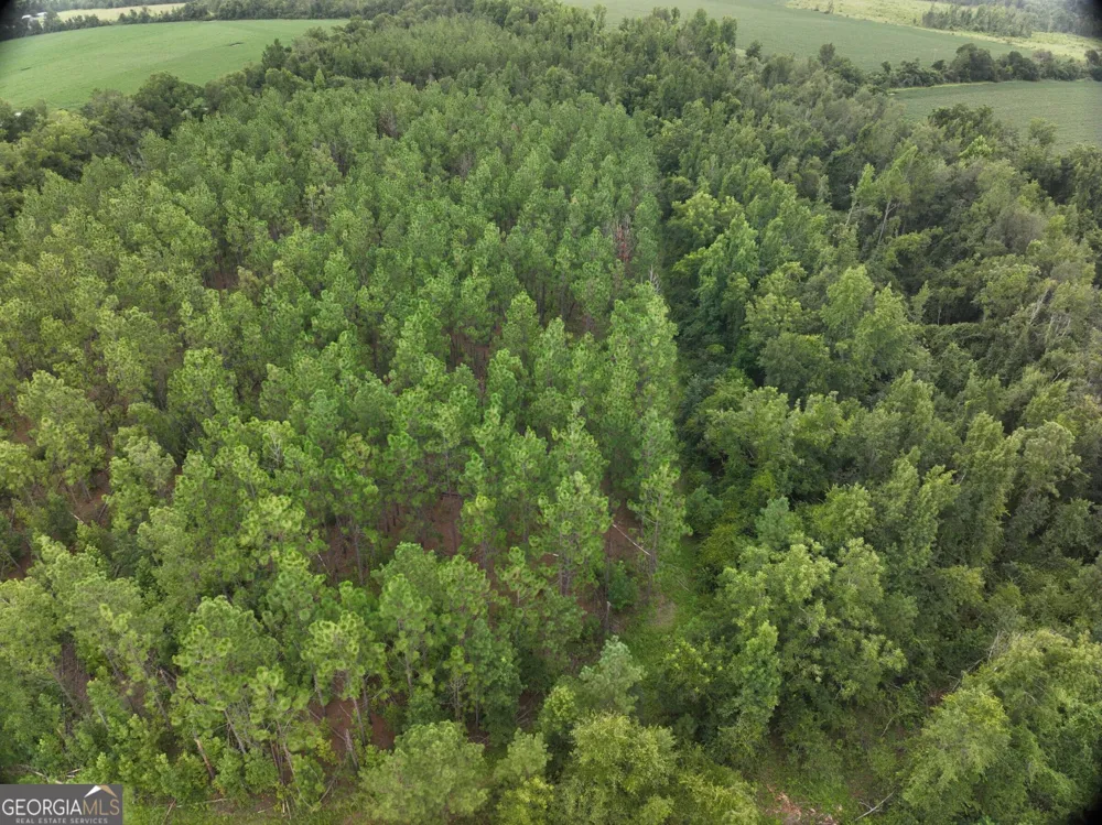 0 Leman RD Oak Park, GA 30401
