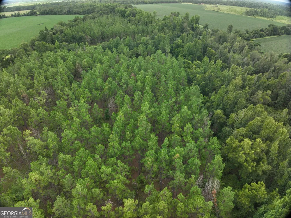0 Leman RD Oak Park, GA 30401