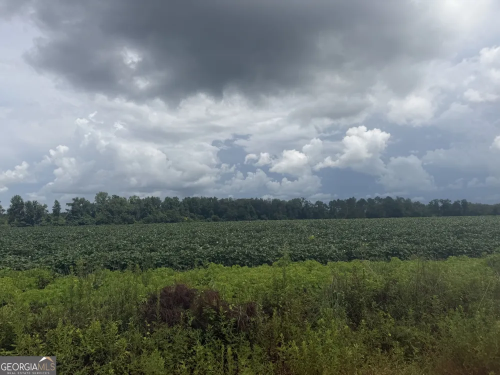 0 Leman RD Oak Park, GA 30401
