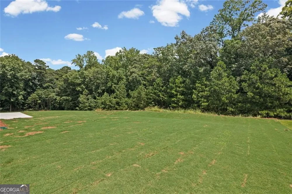 208 Pickens Bluff LN Hiram, GA 30141