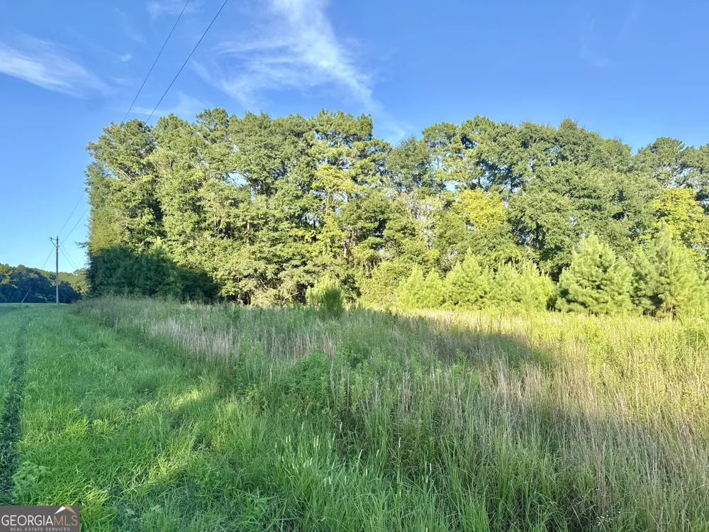 0 Hwy 62 Blakely, GA 39823