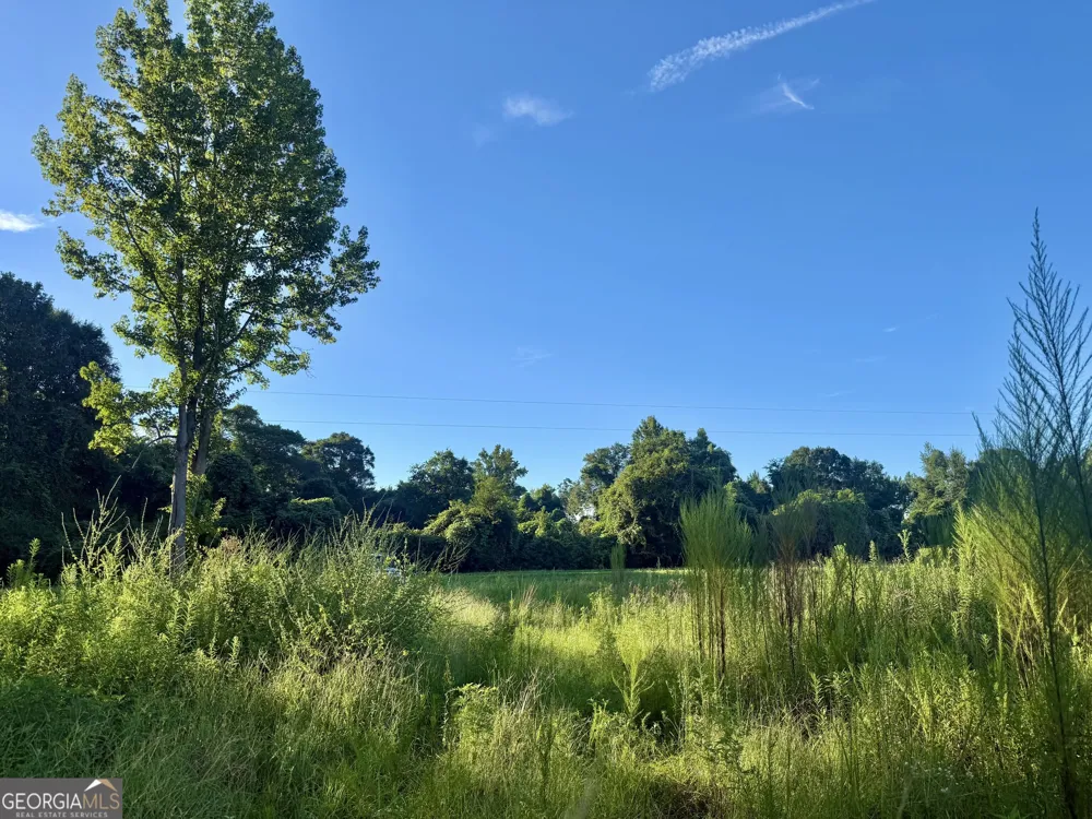 0 Hwy 62 Blakely, GA 39823