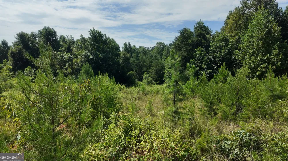 10.8 AC Cody RD Mount Airy, GA 30563