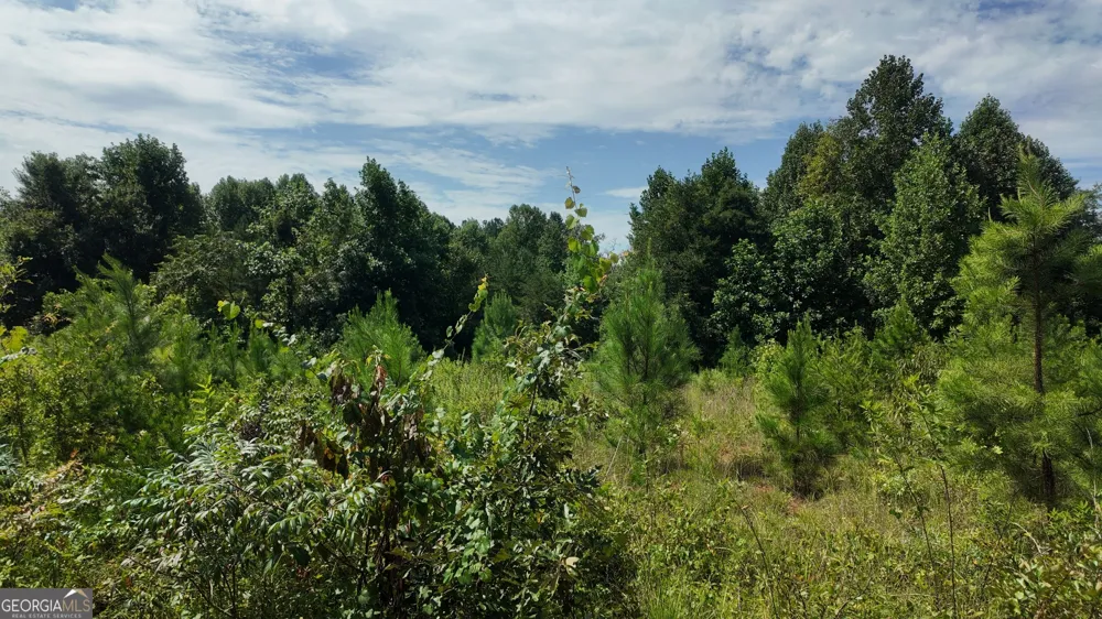 10.8 AC Cody RD Mount Airy, GA 30563