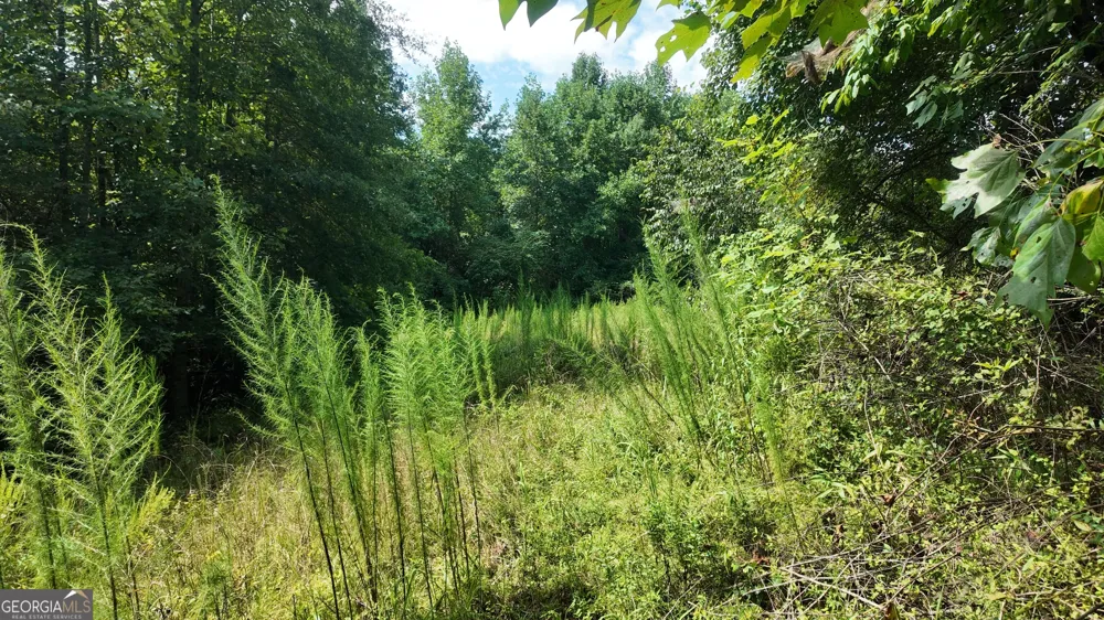 10.8 AC Cody RD Mount Airy, GA 30563
