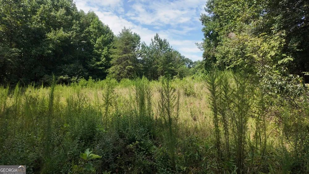 10.8 AC Cody RD Mount Airy, GA 30563