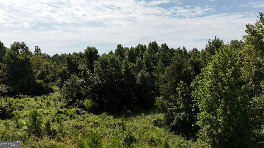 10.8 AC Cody RD Mount Airy, GA 30563