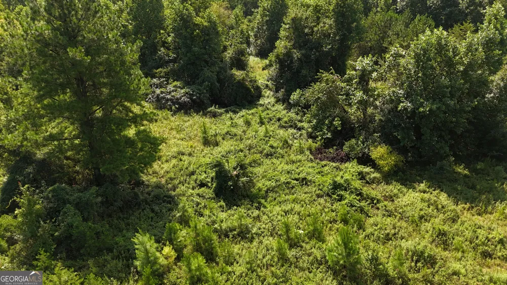 10.8 AC Cody RD Mount Airy, GA 30563