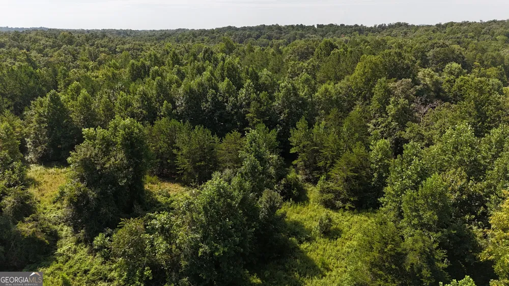 10.8 AC Cody RD Mount Airy, GA 30563