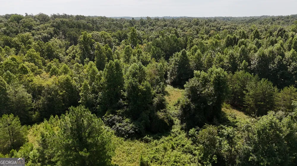 10.8 AC Cody RD Mount Airy, GA 30563