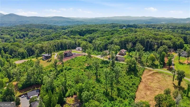 17 Mystic DR Ellijay, GA 30540