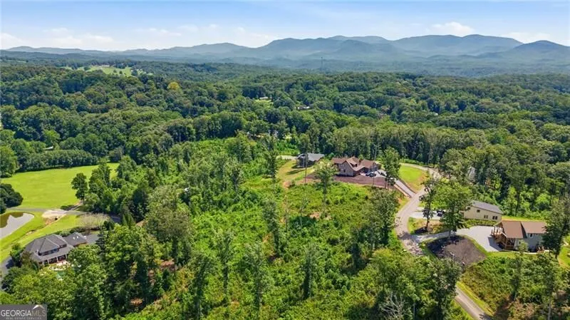 17 Mystic DR Ellijay, GA 30540