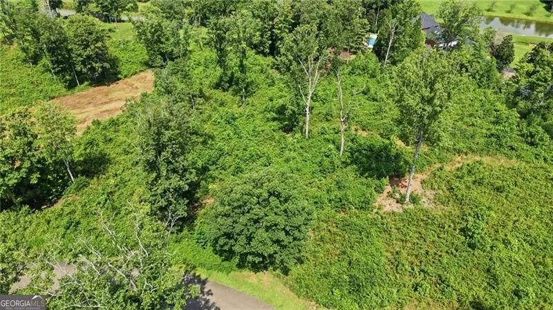 17 Mystic DR Ellijay, GA 30540