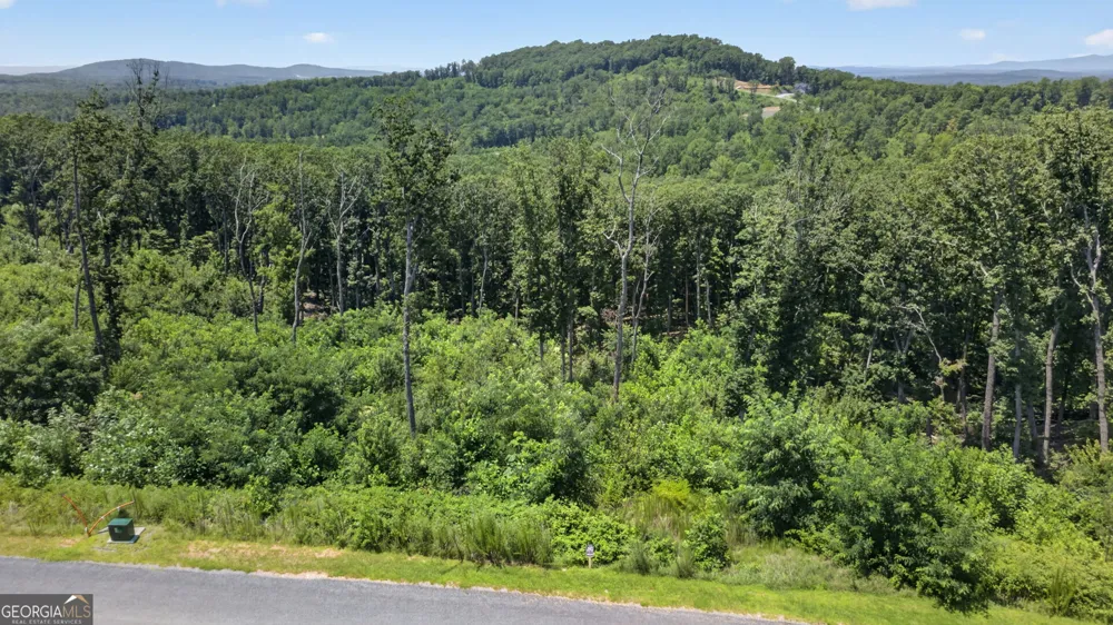 LOT 292 Highgrove DR Talking Rock, GA 30175