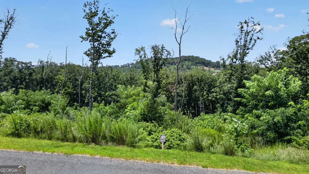 LOT 292 Highgrove DR Talking Rock, GA 30175