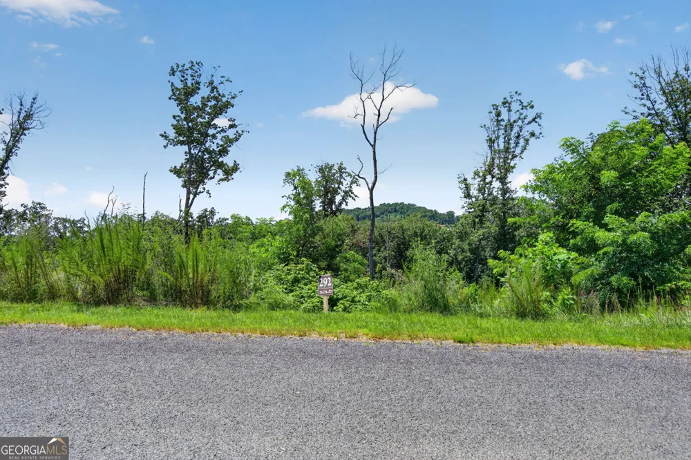 LOT 292 Highgrove DR Talking Rock, GA 30175