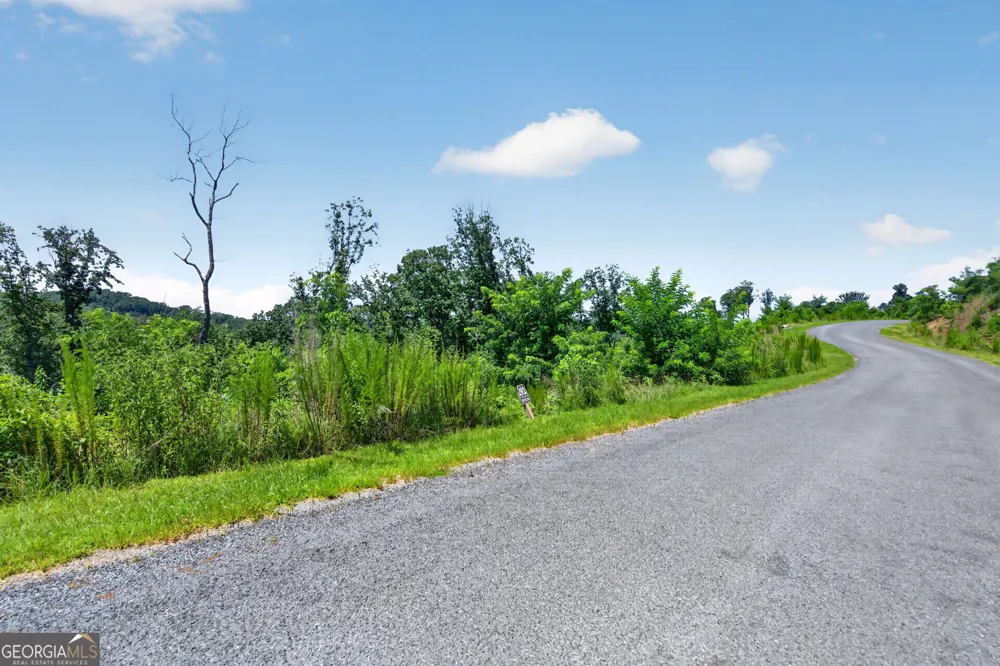 LOT 292 Highgrove DR Talking Rock, GA 30175