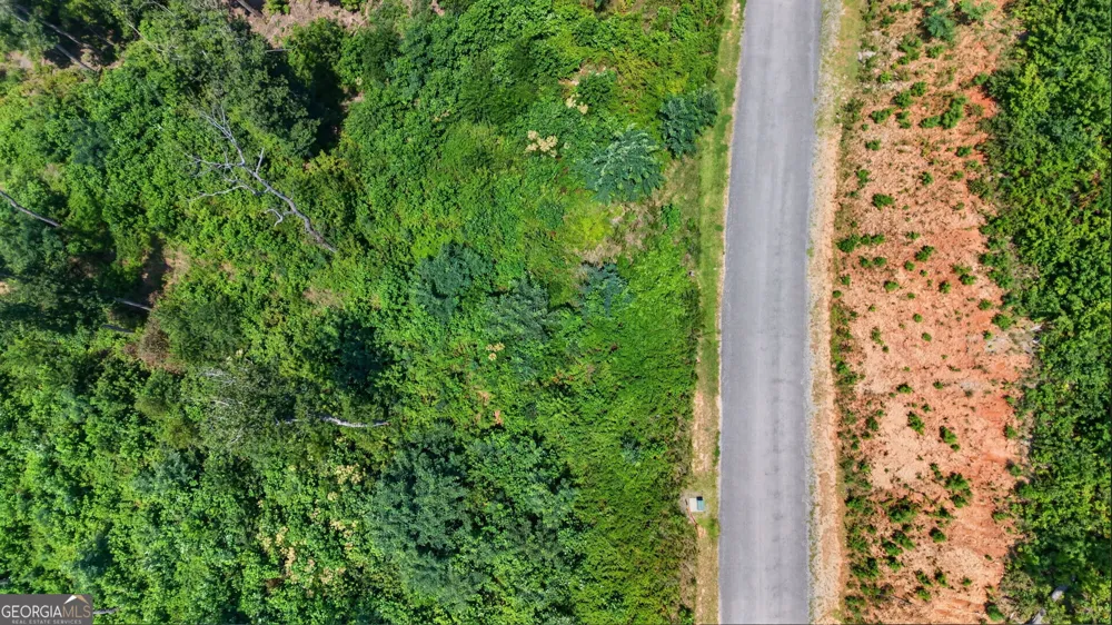 LOT 292 Highgrove DR Talking Rock, GA 30175