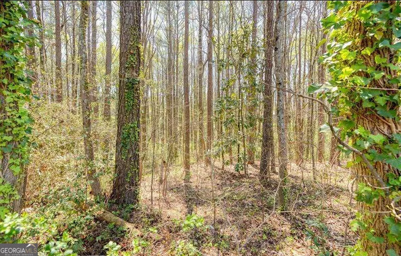 959 Old Milford Church RD SW Marietta, GA 30060