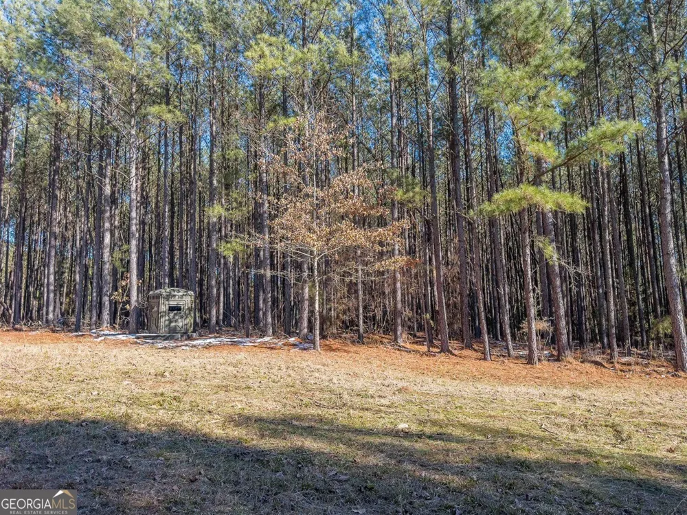 1255 Rogers RD Tignall, GA 30668