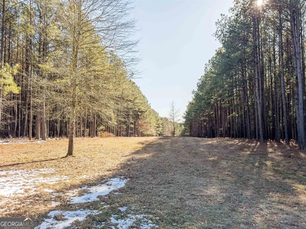 1255 Rogers RD Tignall, GA 30668