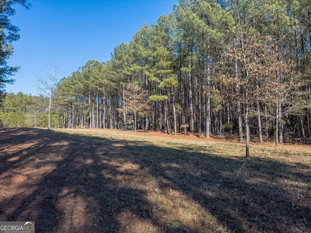 1261 Rogers RD Tignall, GA 30668