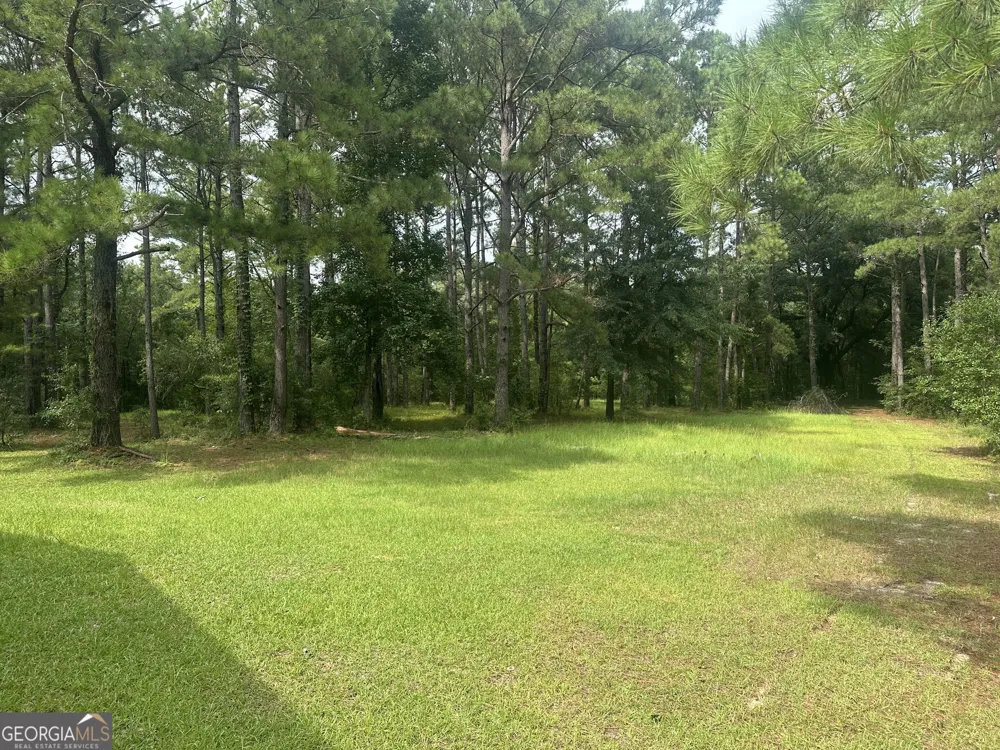 3693 Joyner Oglesby RD Sardis, GA 30456