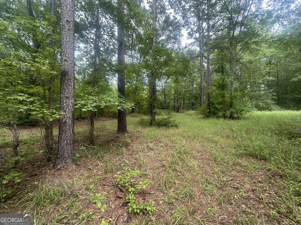 3693 Joyner Oglesby RD Sardis, GA 30456