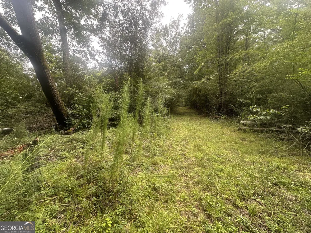 3693 Joyner Oglesby RD Sardis, GA 30456