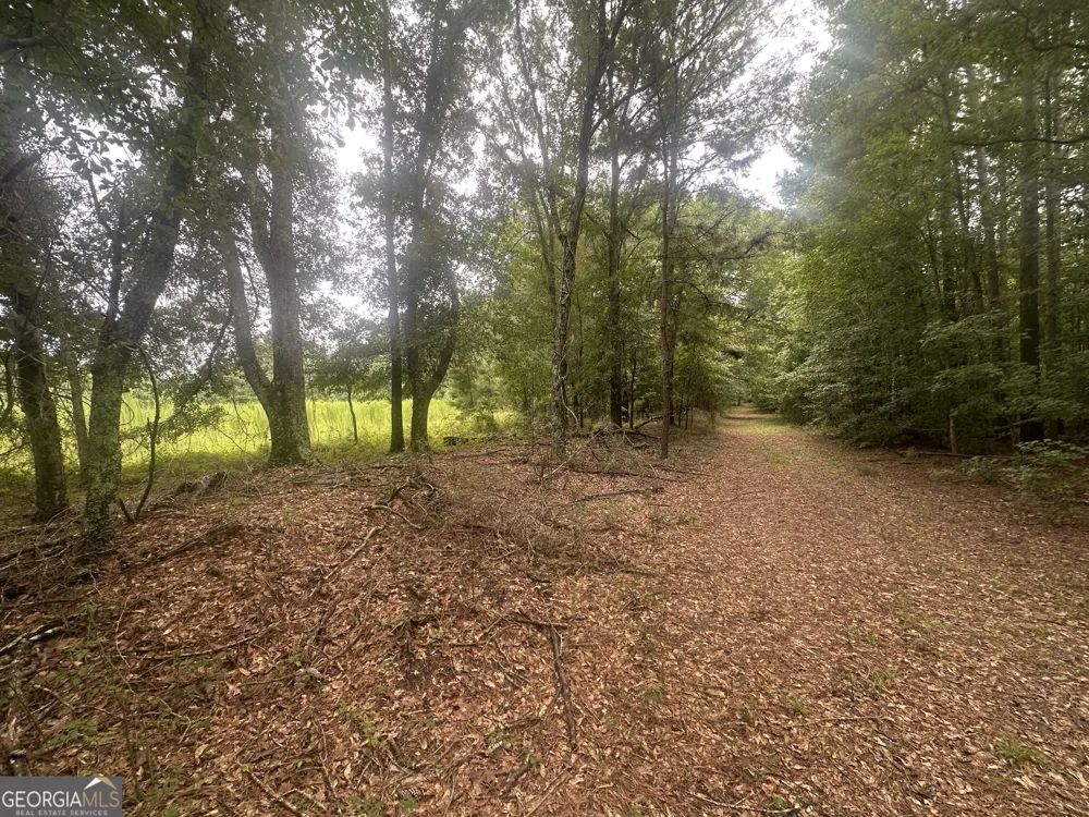 3693 Joyner Oglesby RD Sardis, GA 30456