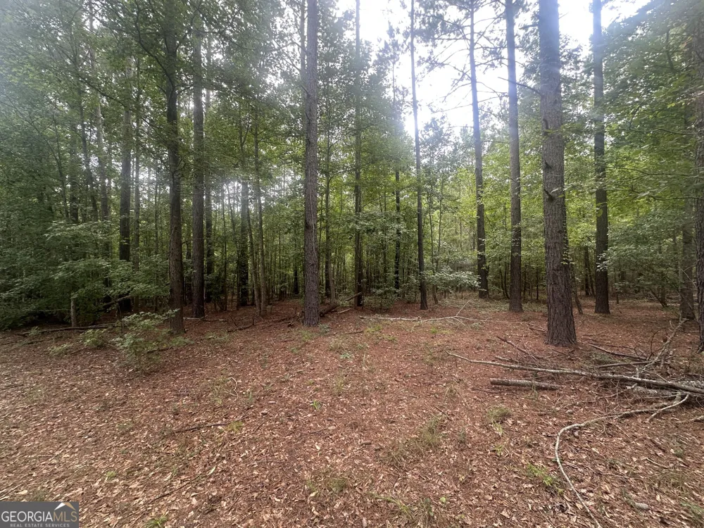 3693 Joyner Oglesby RD Sardis, GA 30456