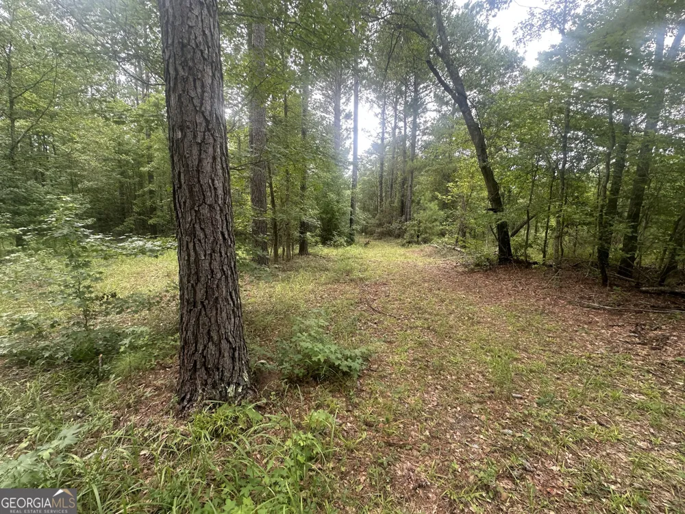 3693 Joyner Oglesby RD Sardis, GA 30456