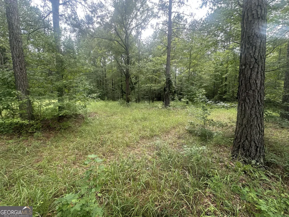 3693 Joyner Oglesby RD Sardis, GA 30456