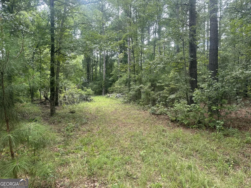 3693 Joyner Oglesby RD Sardis, GA 30456