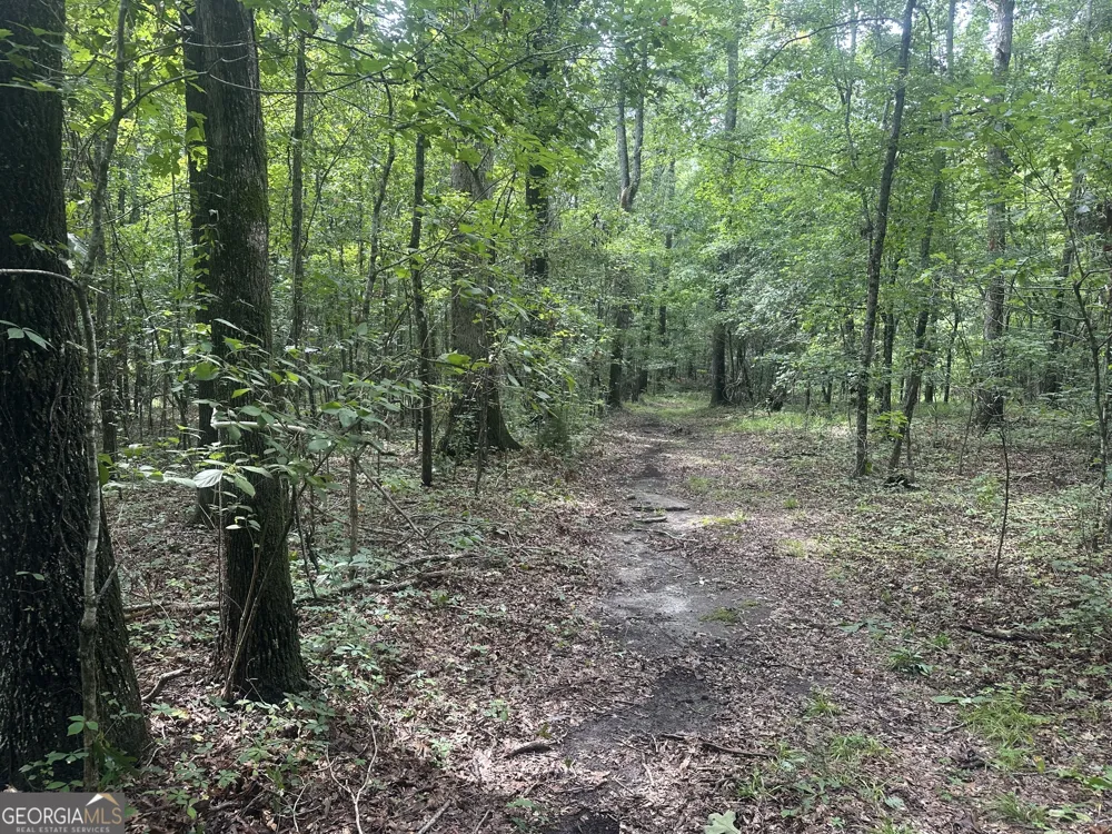 3693 Joyner Oglesby RD Sardis, GA 30456