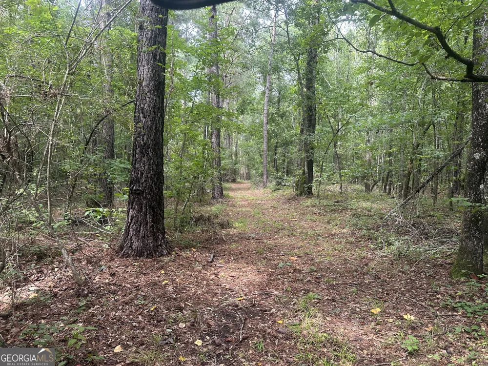 3693 Joyner Oglesby RD Sardis, GA 30456