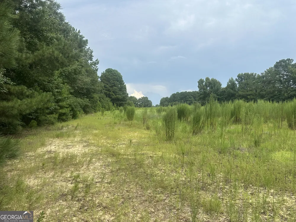 3693 Joyner Oglesby RD Sardis, GA 30456